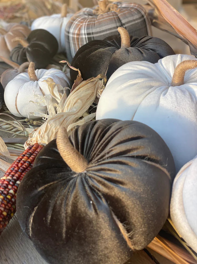 Velvet Pumpkin