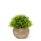 Small Leaf Plant Pot