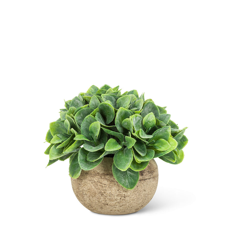 Small Leaf Plant Pot