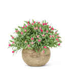 Small Flowering Plant Pot