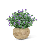Small Flowering Plant Pot