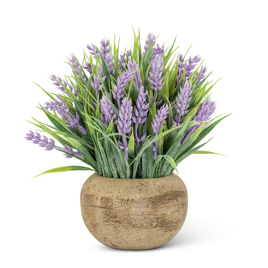 Small Flowering Plant Pot