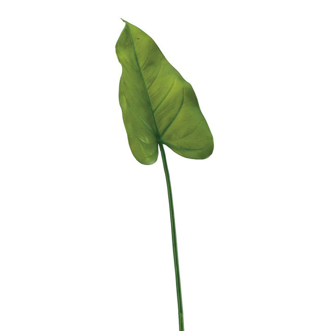 Calla Lily Leaf Stem