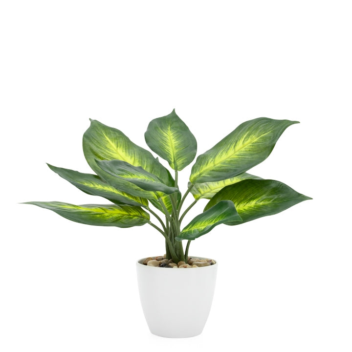 Villa Faux Potted Plant - Dieffenbachia