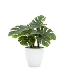 Villa Faux Potted Plant - Monstera