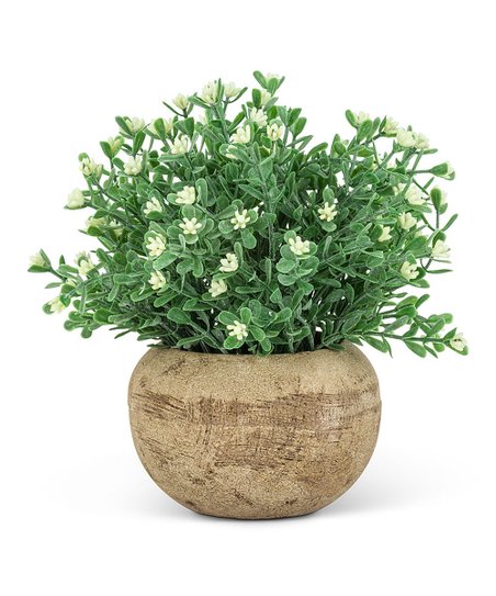 Small Flowering Plant Pot