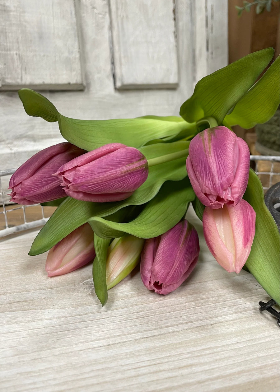 10170 - 12" Fresh Touch Tulip Bundle - 7 stems