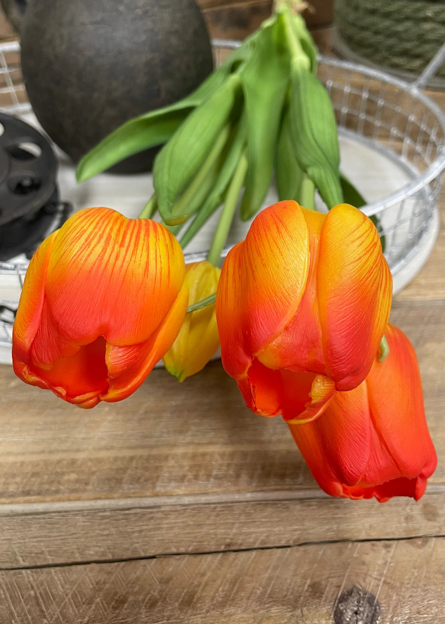 10196 - 18" Fresh Touch Tulip Bundle - 7 stems