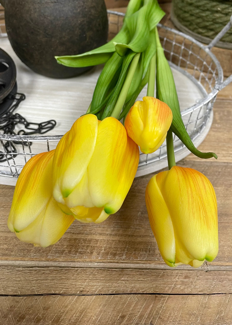 10196 - 18" Fresh Touch Tulip Bundle - 7 stems
