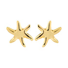 Prism Earrings