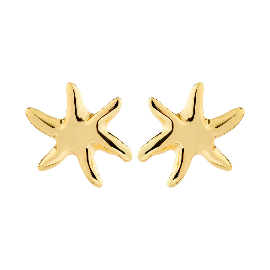 Prism Earrings