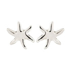 Prism Earrings