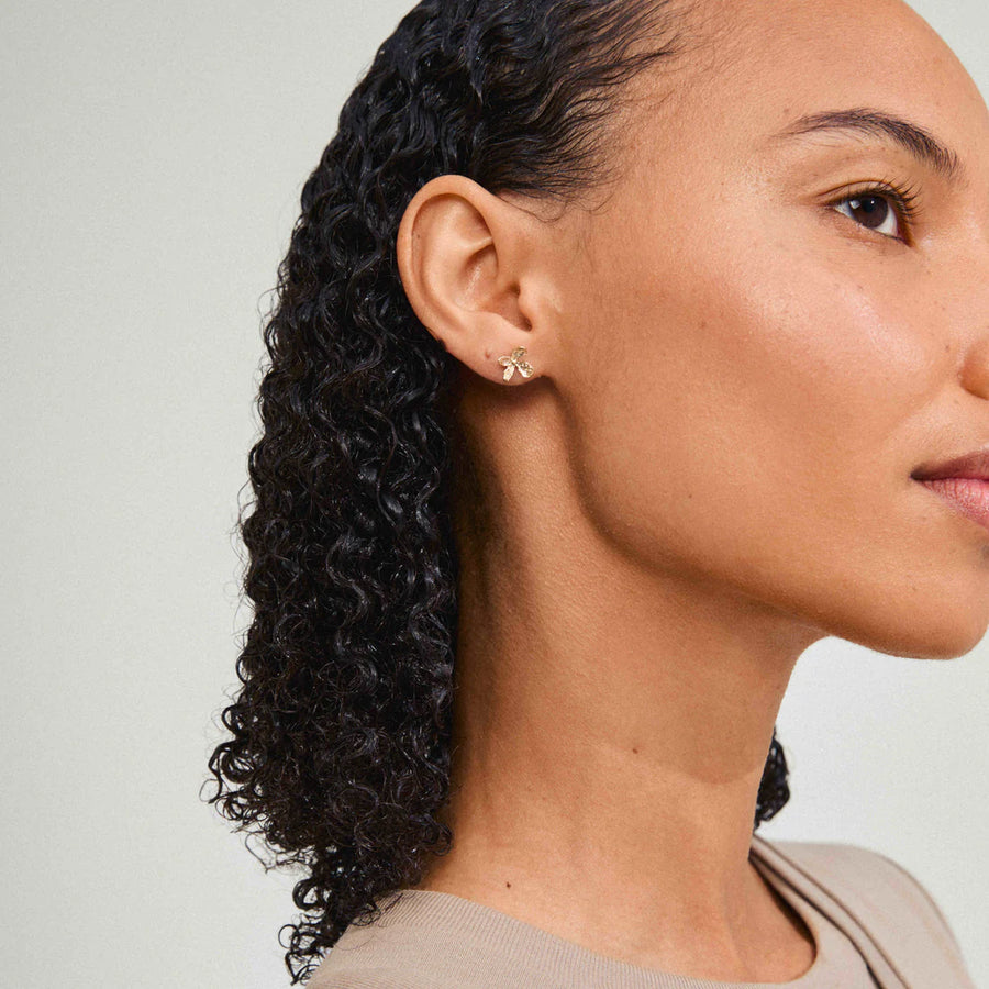 Aglaia Studs
