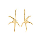 Prism Earrings