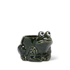 Sm Crouched Frog Planter