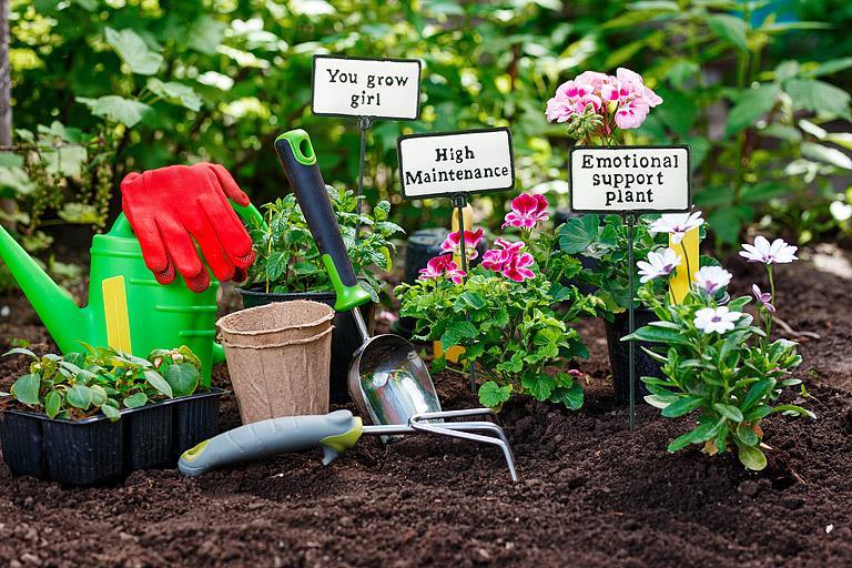 Plant Signs