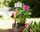 Plant Signs