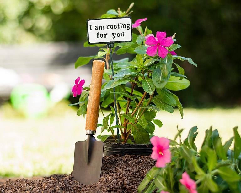 Plant Signs