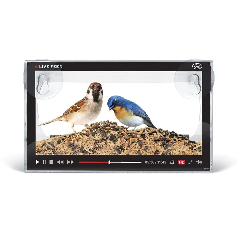 Howligans Bird Feeder - Live Feed