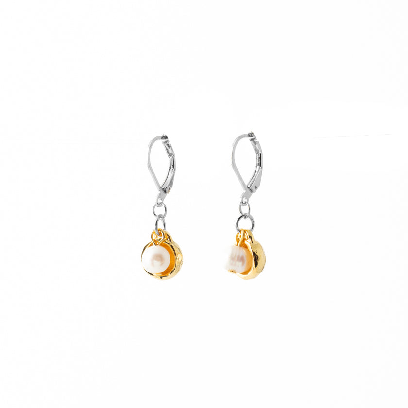 Elliot Silvery & Gold Earrings