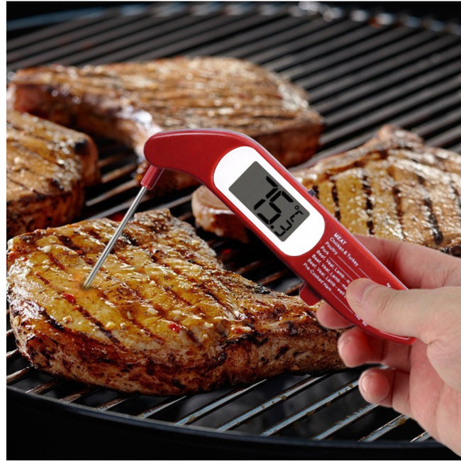 Folding Digital Thermometer