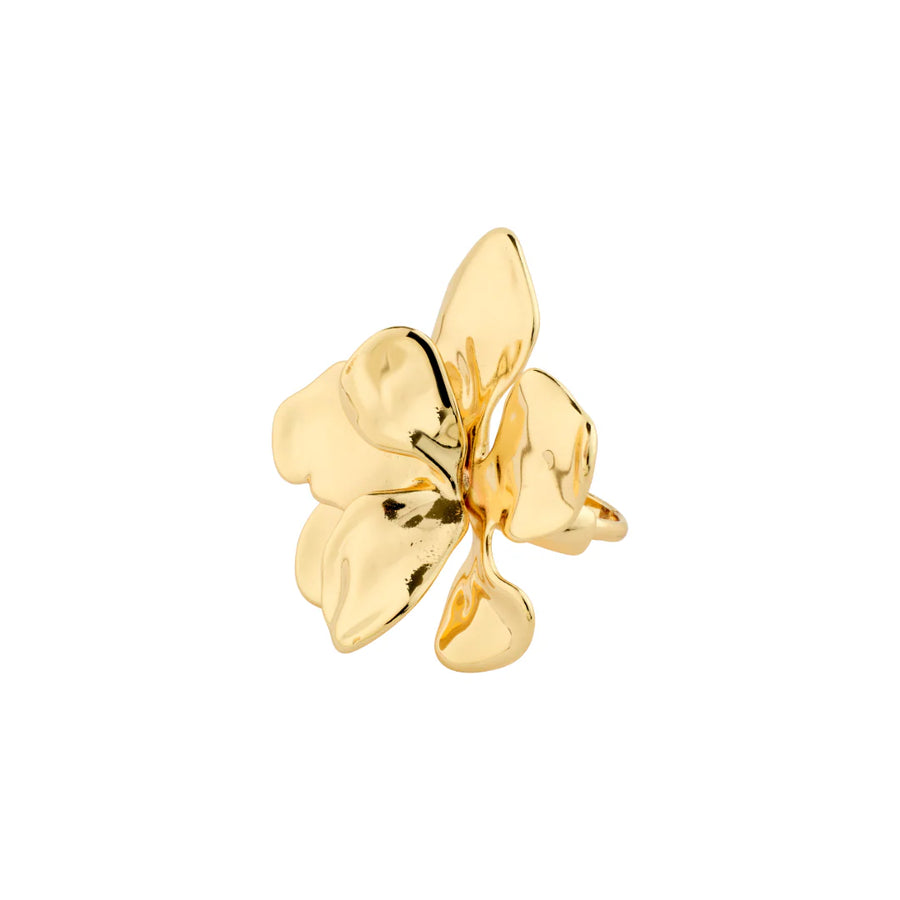 Lunith Ring