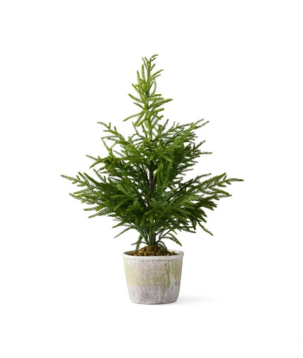 35.5 Inch Real Touch Norfolk Pine Tree In Stoneware Pot