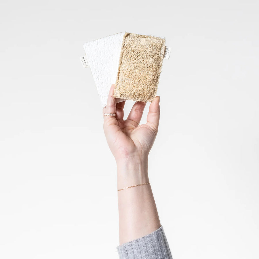 Cellulose + Loofah sponges