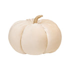 Velvet Pumpkin