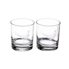 2 Glass Tumblers