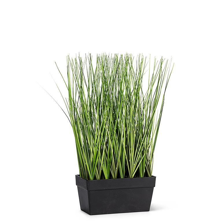 Long Grass in Rect Pot