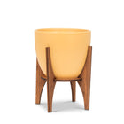Yellow Pot w/Wooden Stand