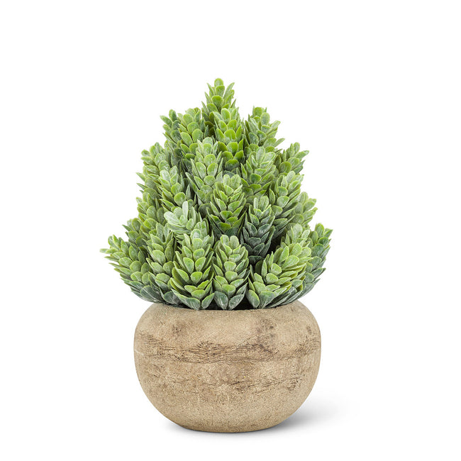 Small Leaf Plant Pot