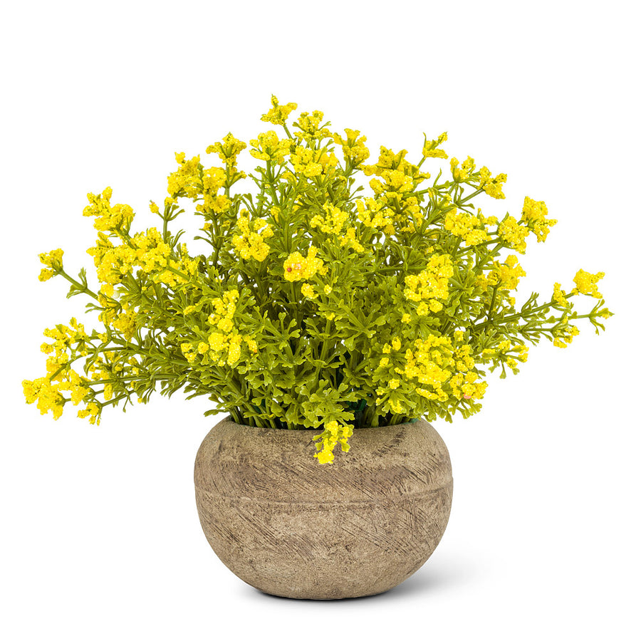Small Flowering Plant Pot