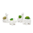 Animal Garden Ceramic Potted Faux Succulent