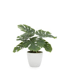 Villa Faux Potted Plant - Monstera