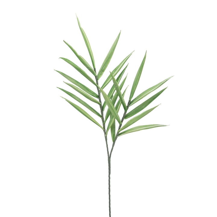 Desert Tropic Spike Grass - 48 Inch