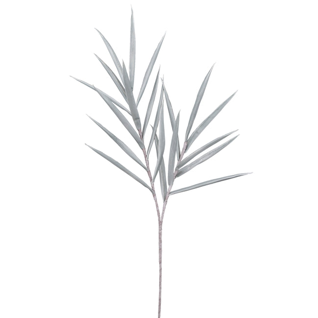 Desert Tropic Spike Grass - 48 Inch