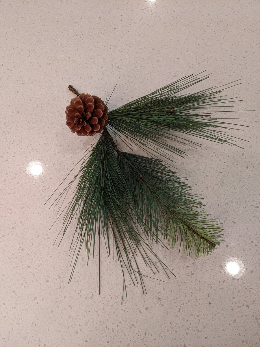 Mixed Pine Cone Pick