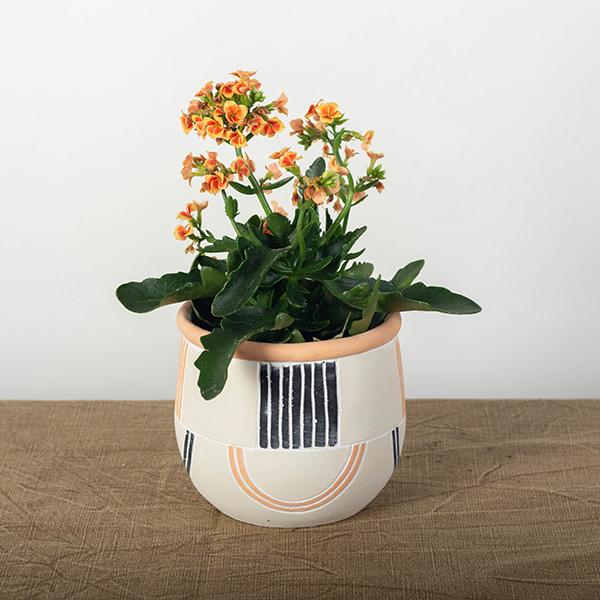 Lines Flower Pot