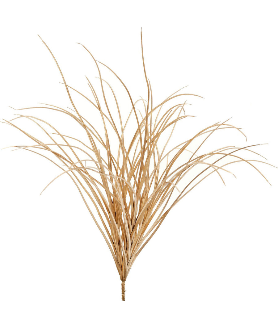Bush Onion Grass Metallic Gold