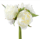 Blushing Peony 5 Bloom Bouquet