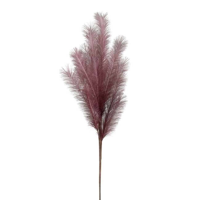 Desert Feather Pampas Purple