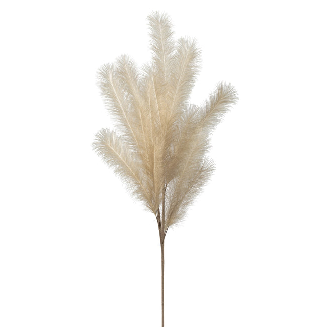 Desert Feather Pampas Cream