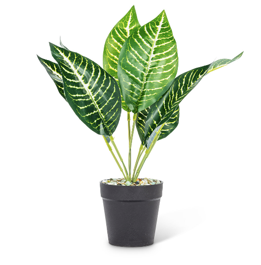 Green & White Leaf Plant 14"H