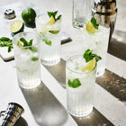 European Crystal Highball Tumblers